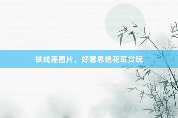 铁线莲图片，好意思艳花草赏玩