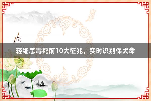 轻细恙毒死前10大征兆，实时识别保犬命